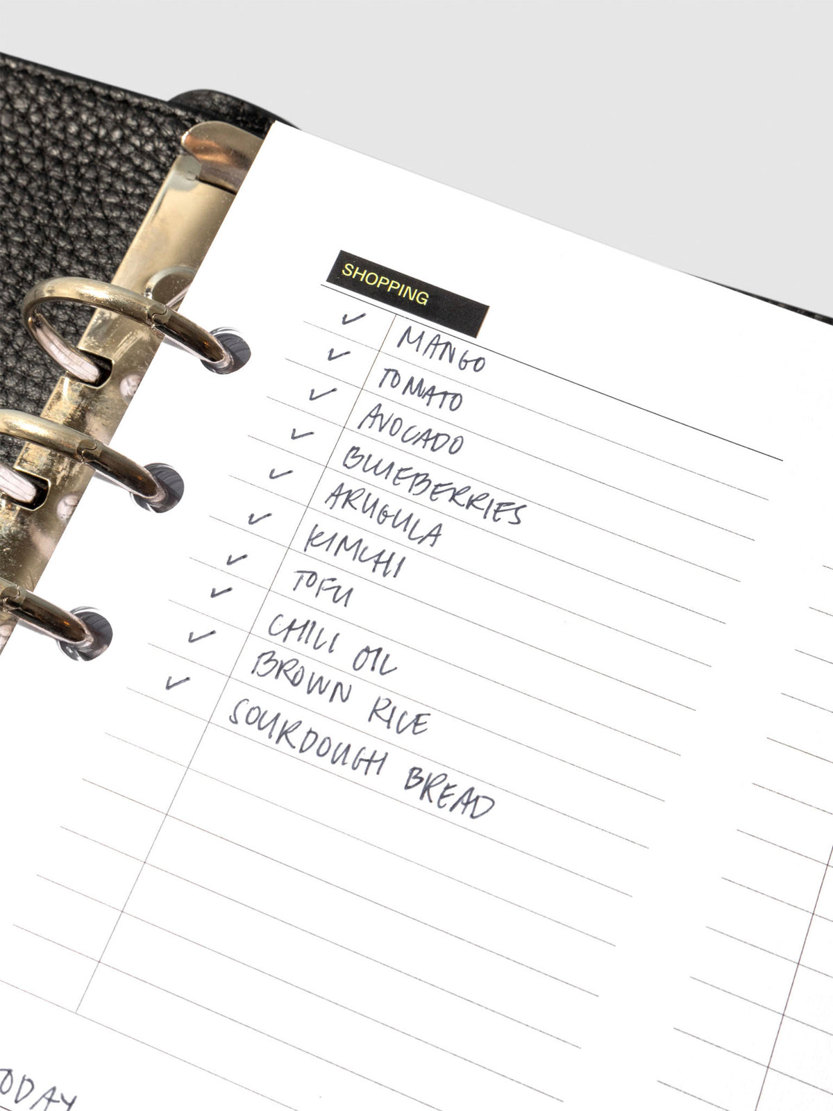 Insert in use inside a leather planner.