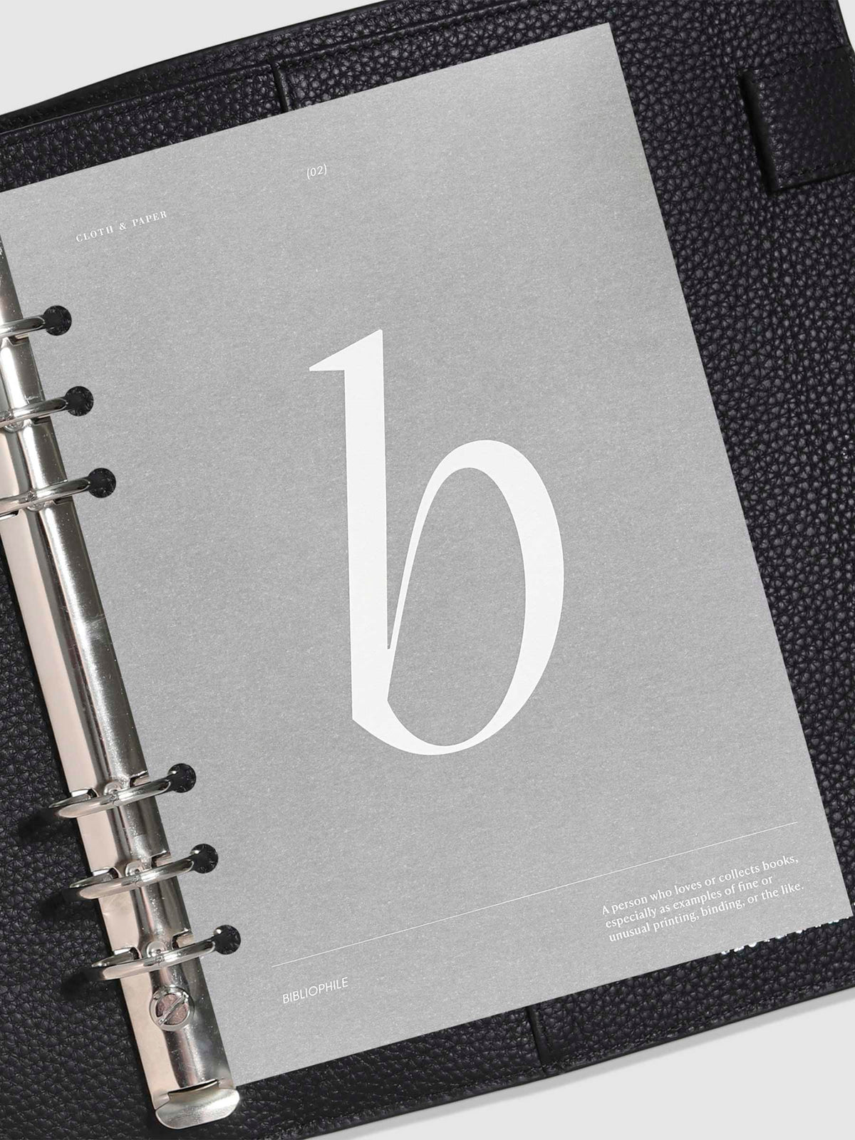 Monogram Vellum Planner Dashboard B in use in a leather planner.