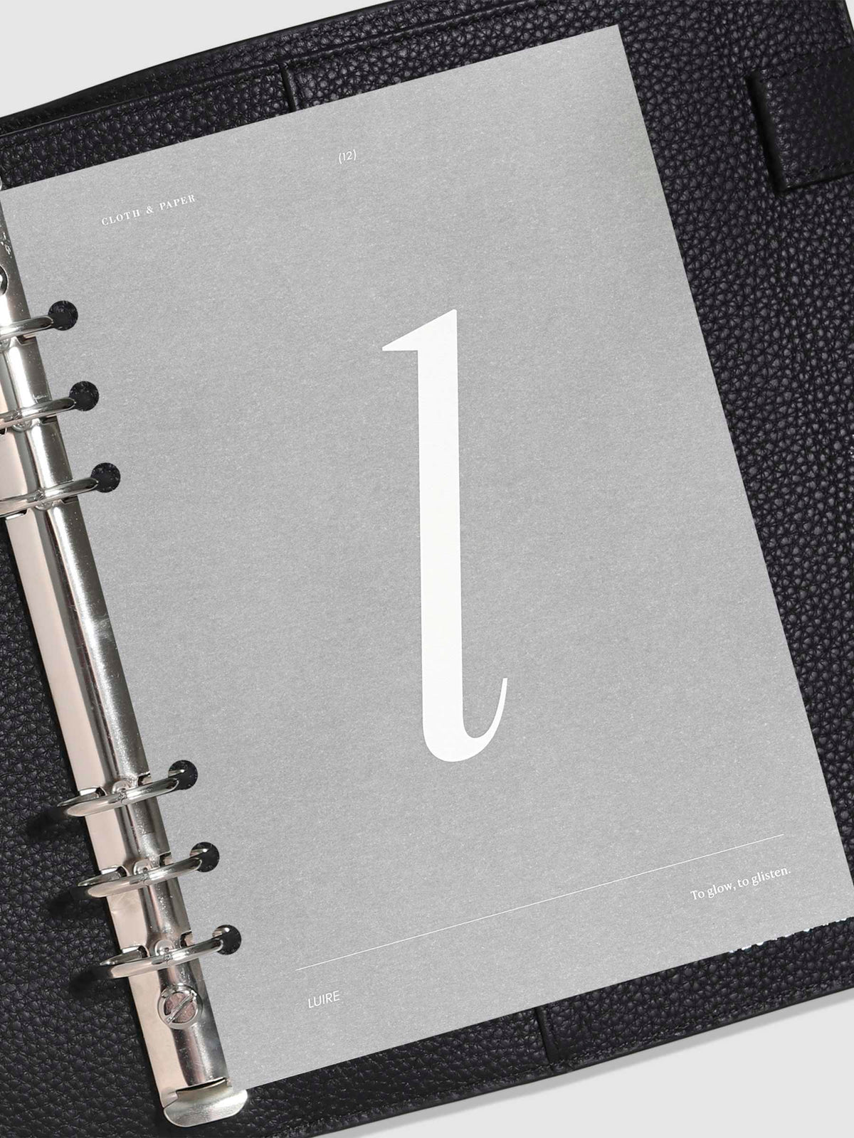 Monogram Vellum Planner Dashboard L in A5 use in a leather planner.