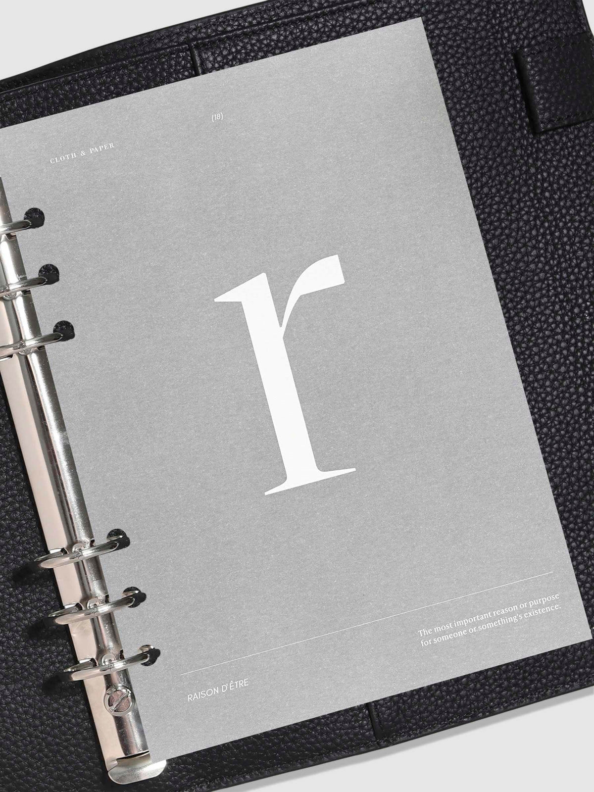 Monogram Vellum Planner Dashboard R in use in a leather planner.