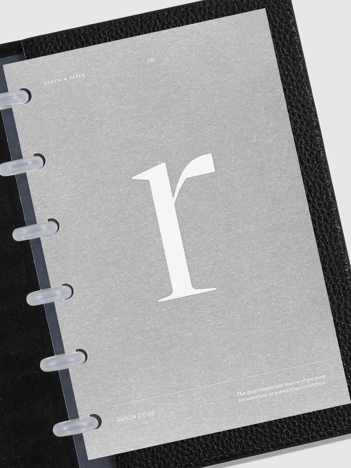 Monogram Vellum Planner Dashboard R in use in a leather planner.