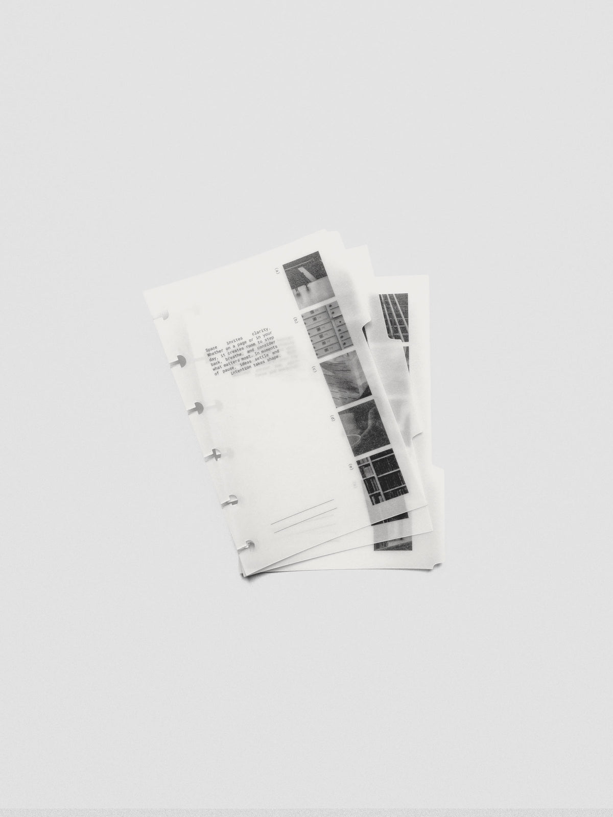 CP Petite Editorial Vellum Dividers Vol. 2 displayed flat on a neutral background.