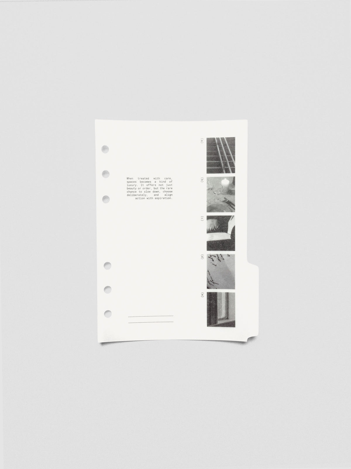 Personal Wide Editorial Vellum Dividers Vol. 2 styled in a flat lay.