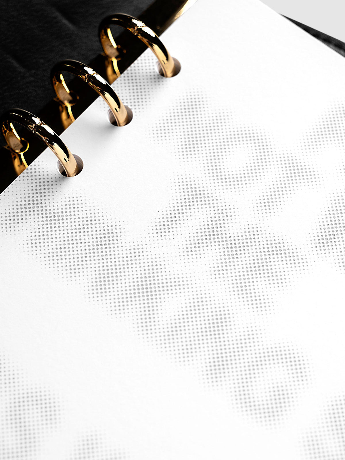 Halftone Planner Dashboard, A5 6-Ring Punch, angled close-up of the gold rings and the grey halftone lettering