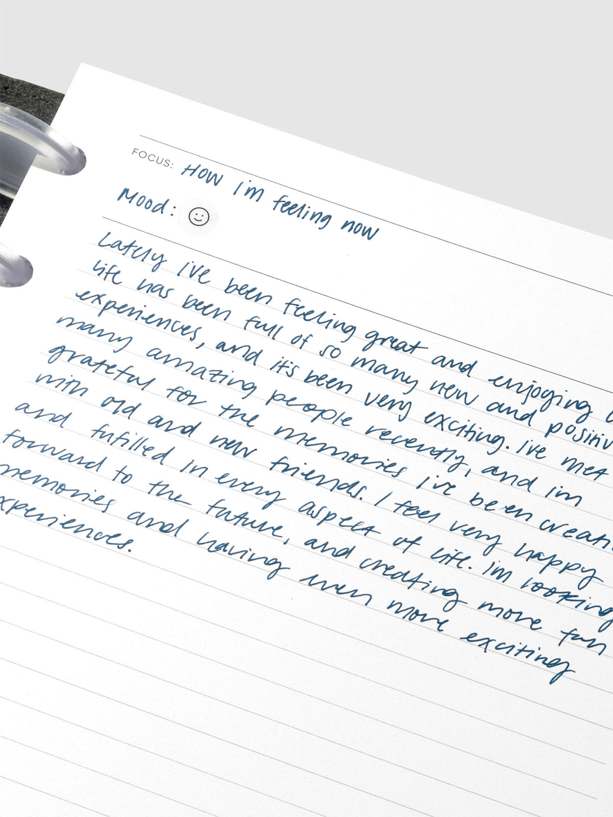 Insert in use inside a discbound planner system. Size shown is Half Letter.