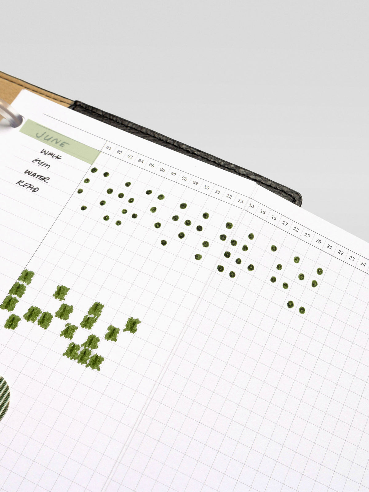 Close-up of the CP Petite Habits Fold Out Planner Insert showing detailed habit tracking across the monthly grid with consistent green pen markings.