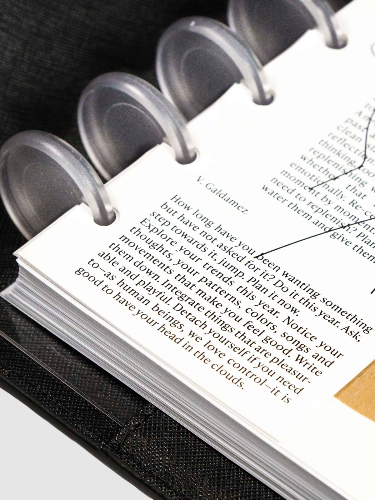 Close up on bottom left corner of dashboard styled inside a discbound planner and black leather planner cover. Text from prose written by V. Galdamez is in focus.